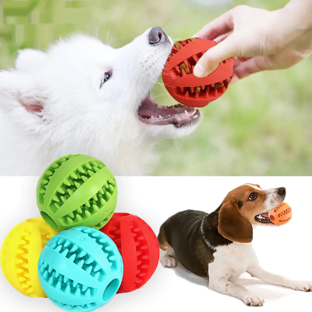 Interactive Pets Rubber Balls